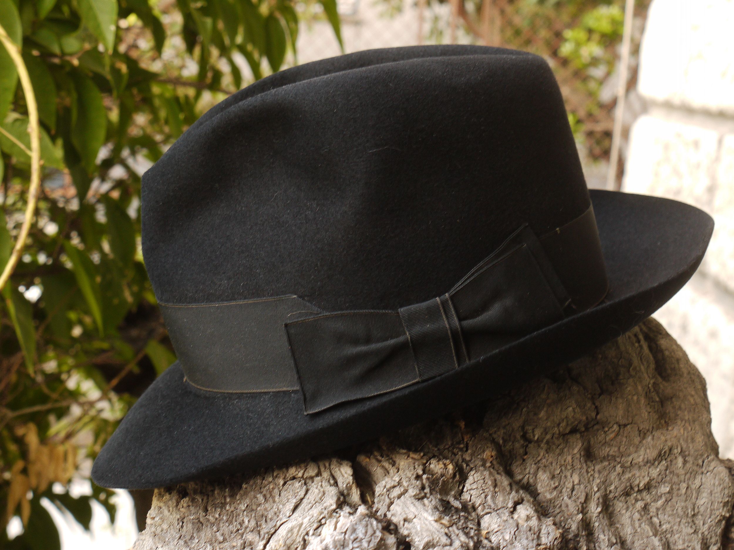 Cervo Excelsa Nero B.jpg