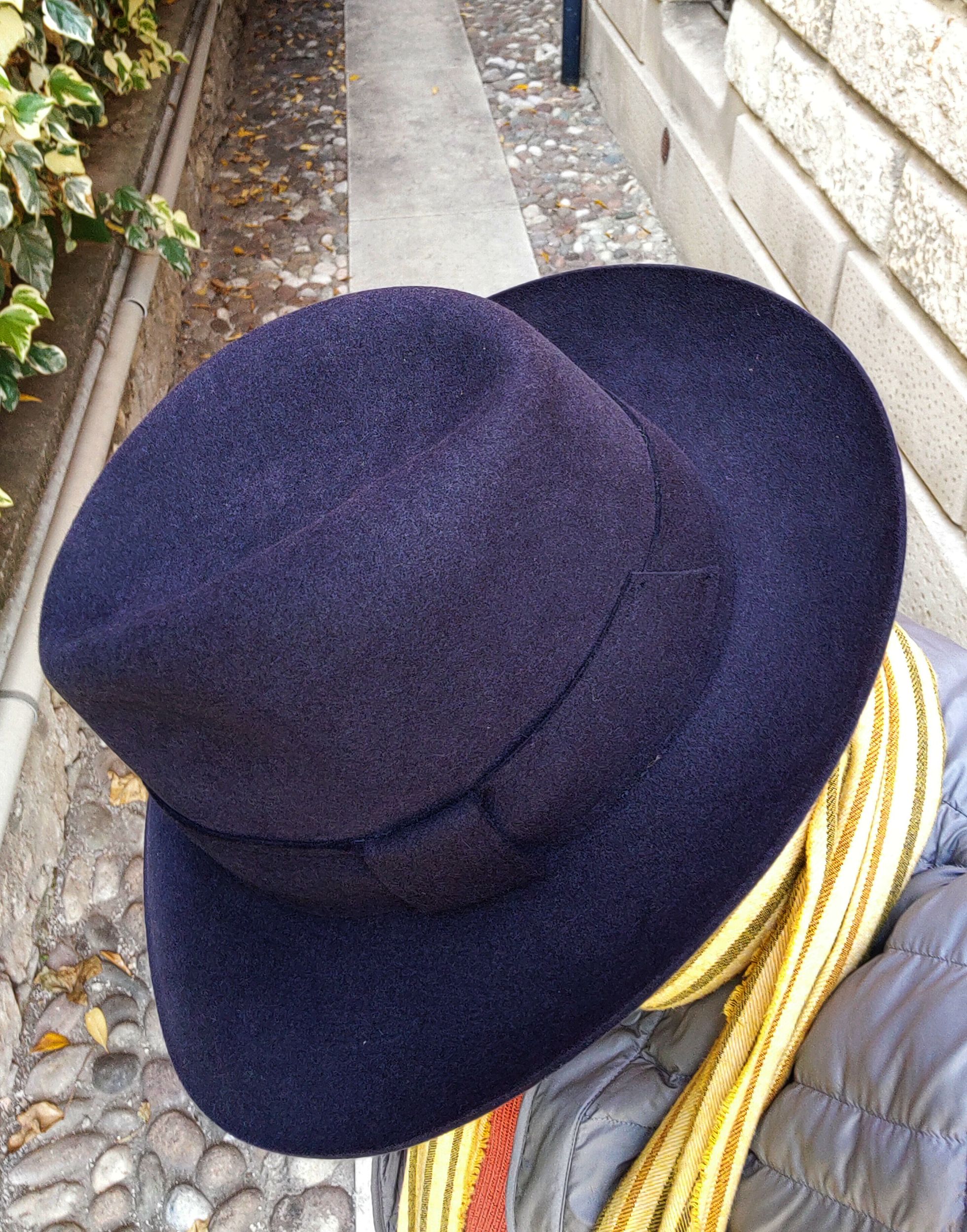 Cervo Tonak Blu 59 A.jpg