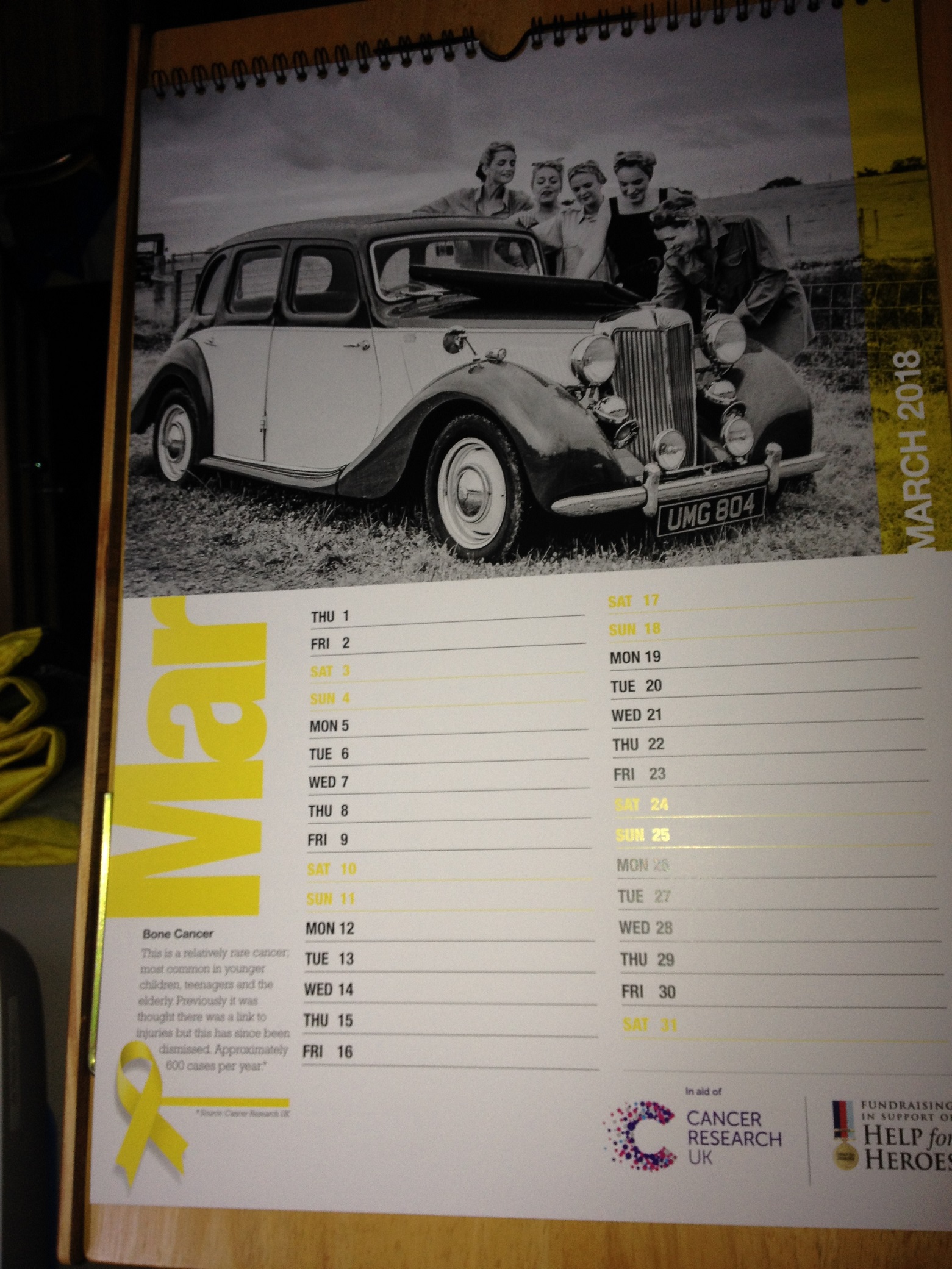 charity calendar 020 001.JPG