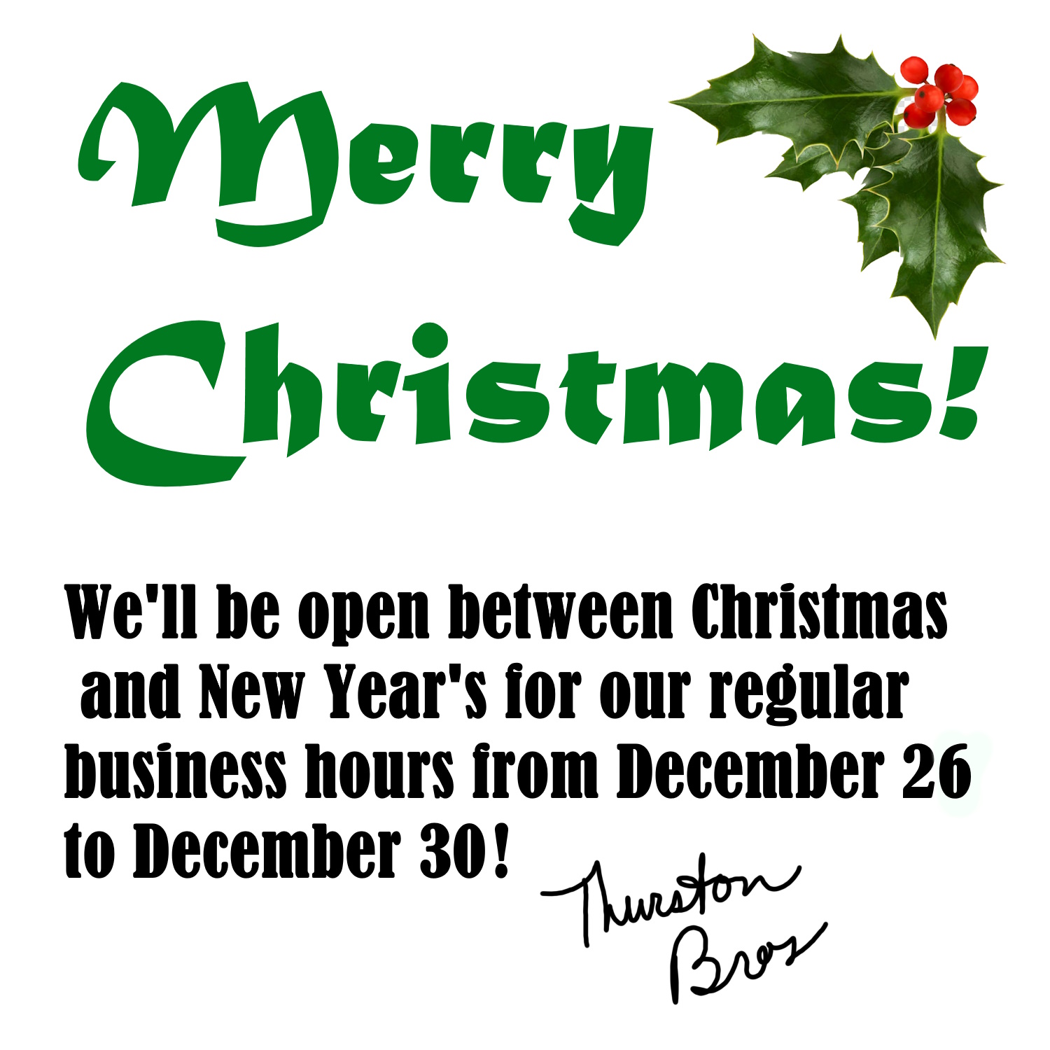 Christmas greeting and business hours.jpg