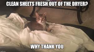 cleen sheets.jpg