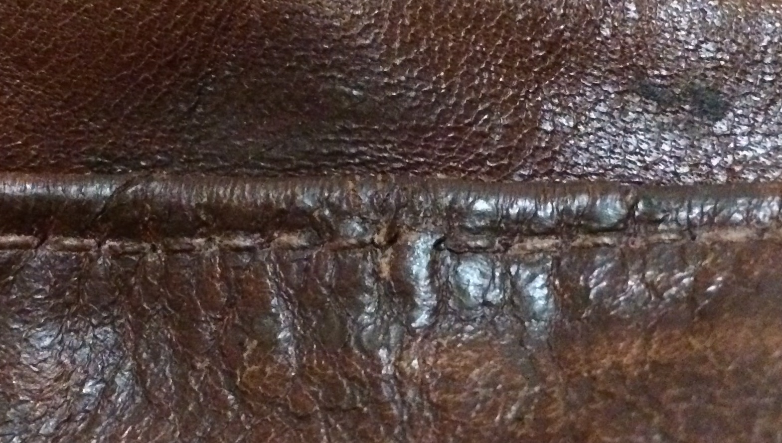 close up.jpg