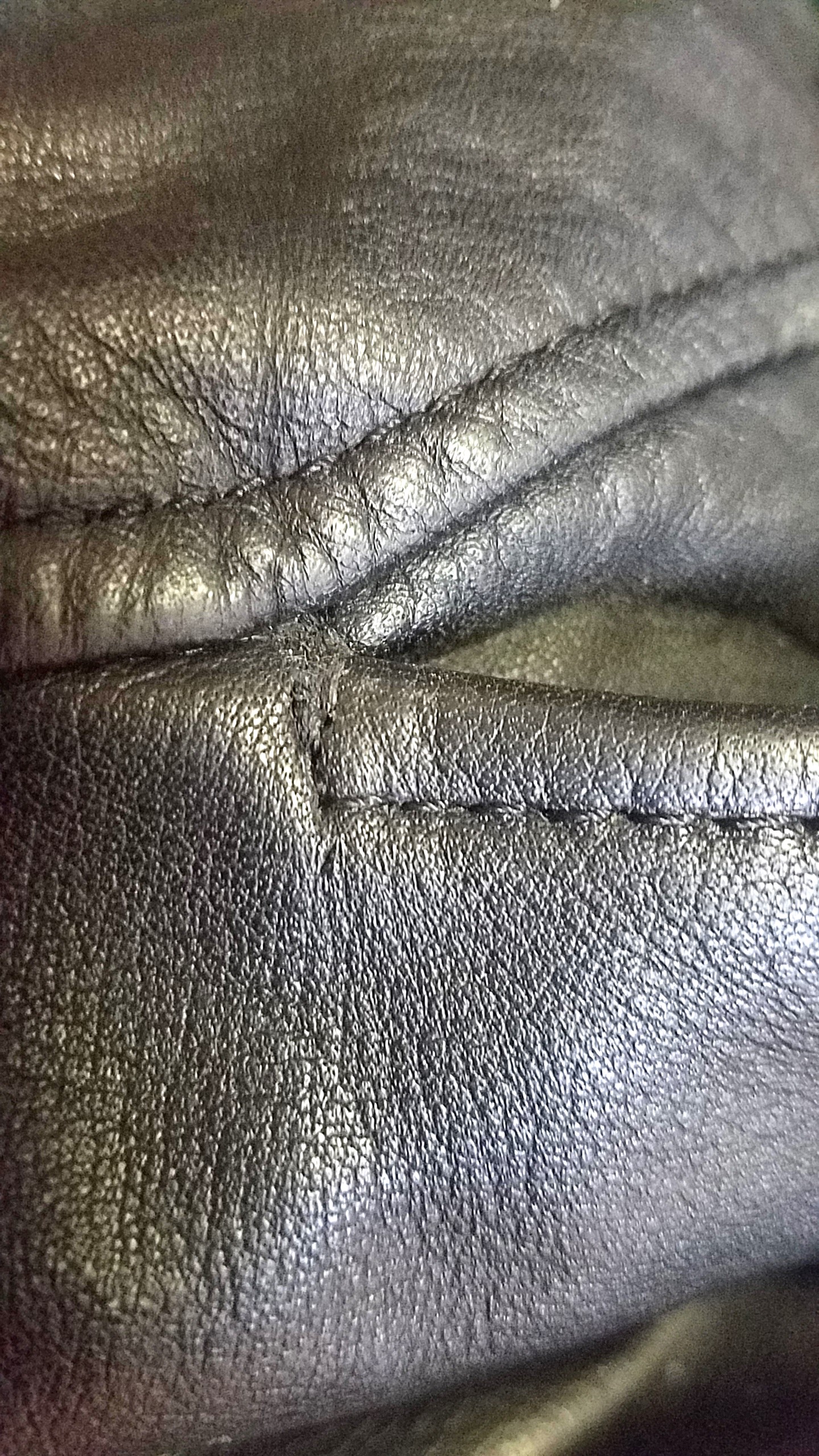 closeup.jpg
