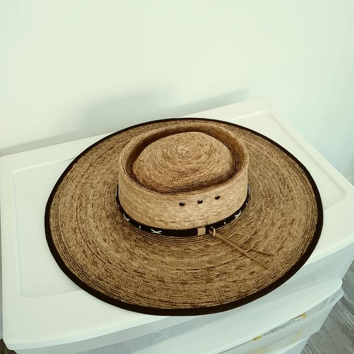 Cody James - Palm Leaf Plantation Hat.jpg