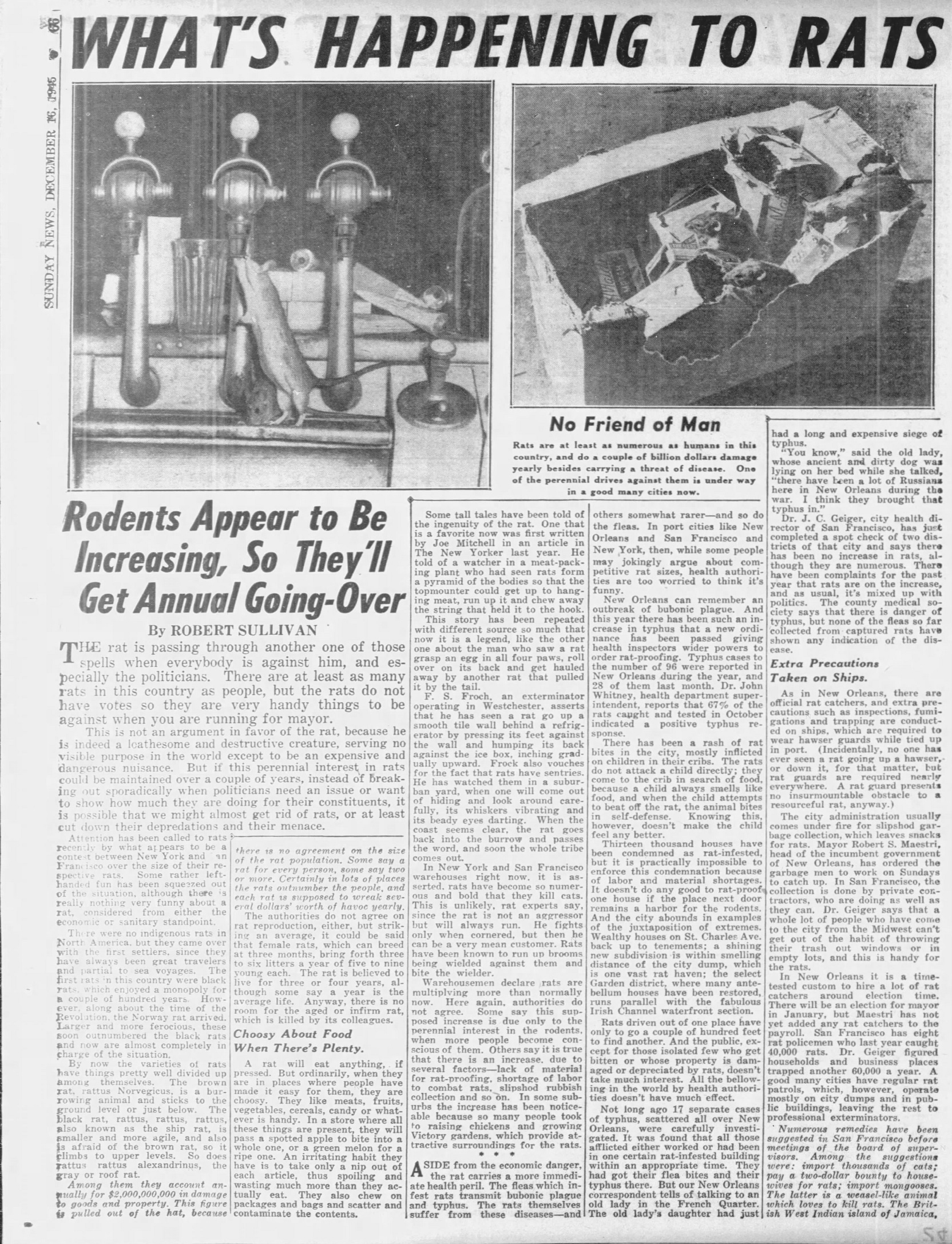 Daily_News_1945_12_16_66.jpg