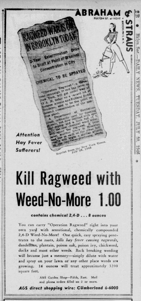 Daily_News_1946_07_30_449.jpg