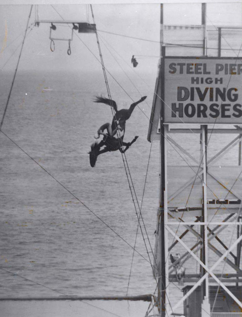 Diving_Horses_1.jpg