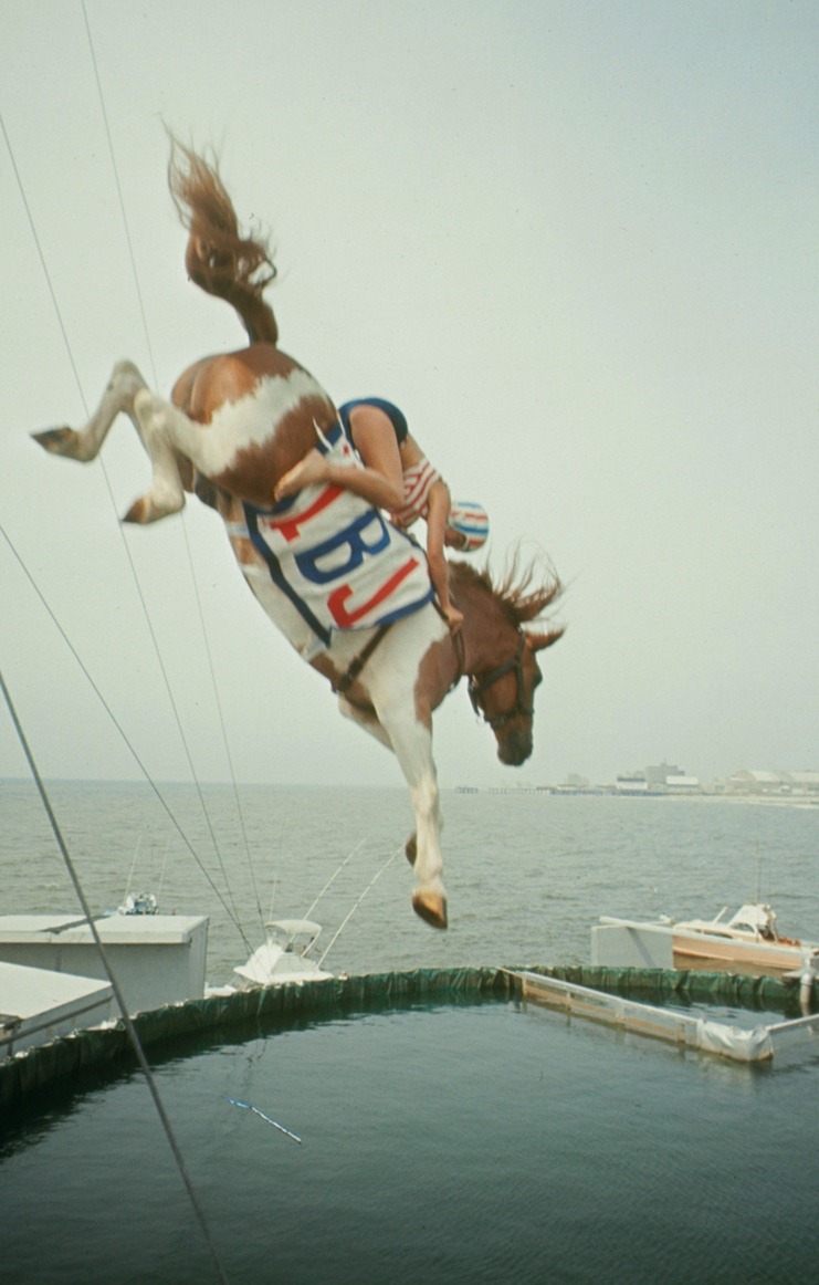 Diving_Horses_2.jpg