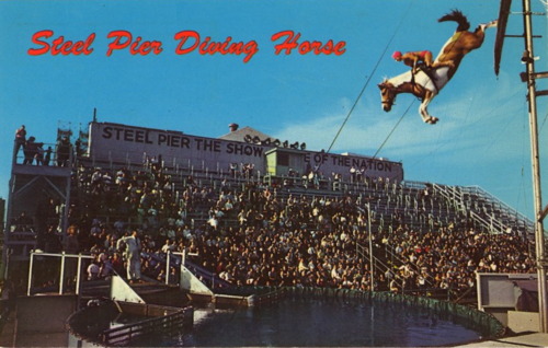 Diving_Horses_3.jpg