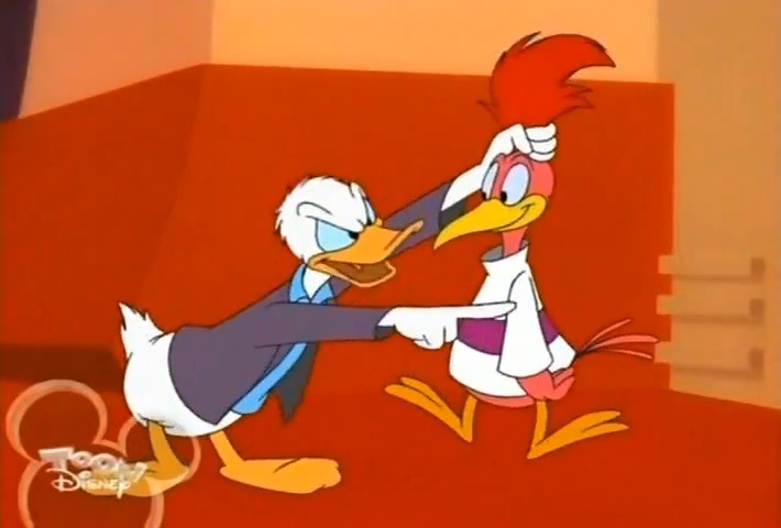 Donald_and_the_Aracuan_Bird1.jpg