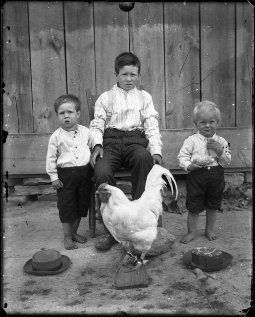 Edgar_Springs_Kids_Rooster.jpg