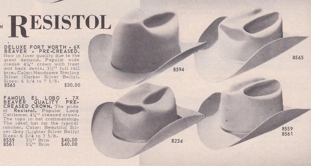 ellobo_ad_1971.jpg