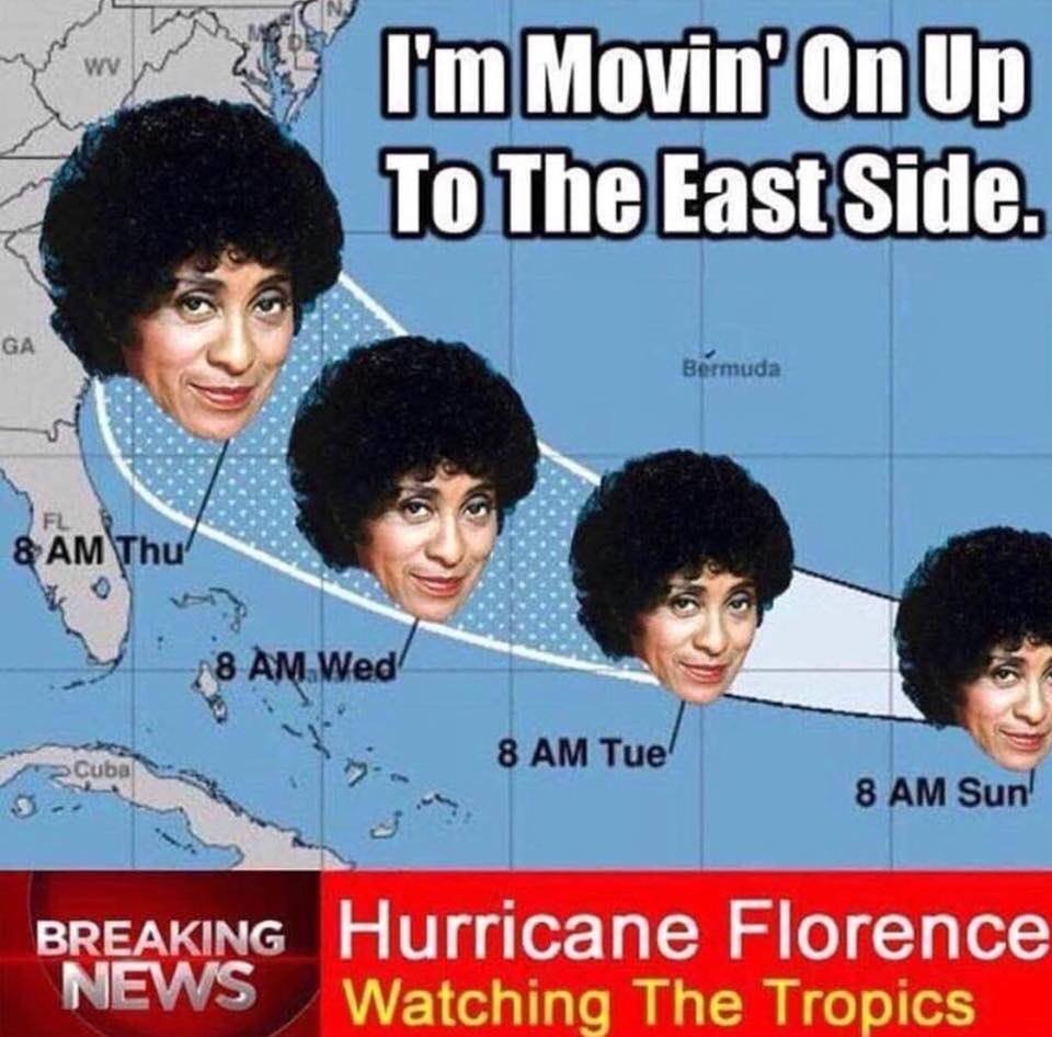 Flo3.jpg