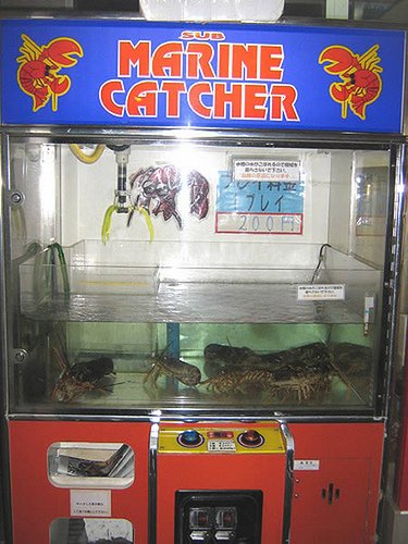 get-a-lobster-for-your-meal-from-a-vending-machine-in-japan-inside-this-arcade.jpg