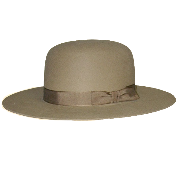 hat-plainboss-lrg.png