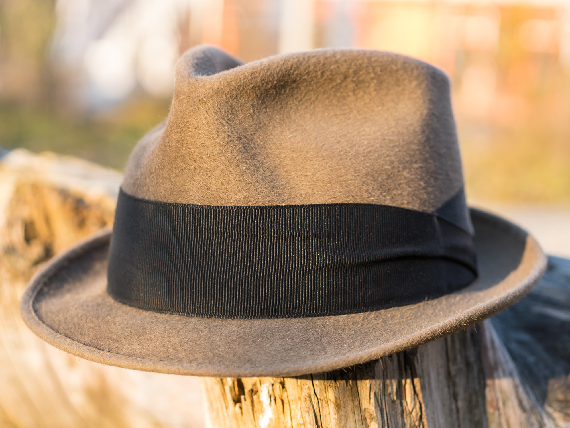 Hat-Stetson-Premier-Windrose-Camel-108-WEB-XL.jpg