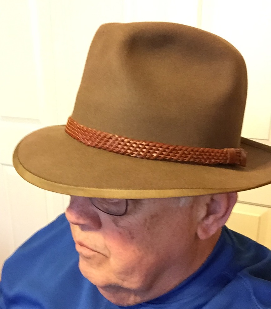 Hat-Vintage Stetsonian.jpg