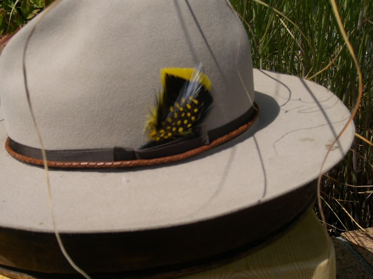 hat2.jpg