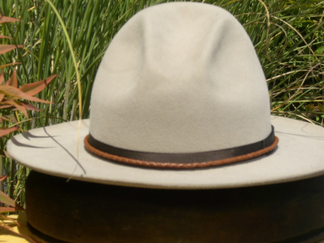 hat4.jpg