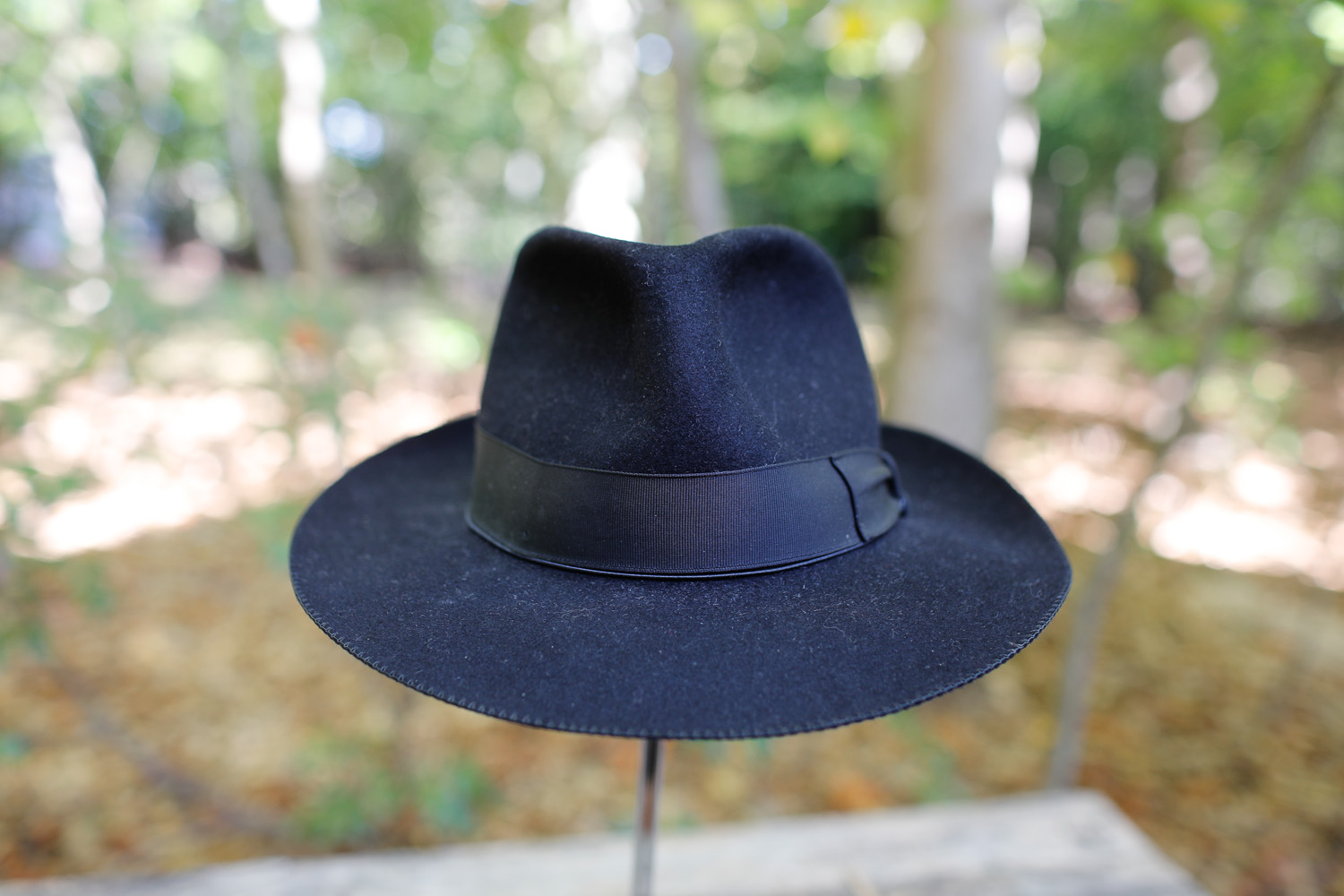 hatsale-kunja-12.jpg