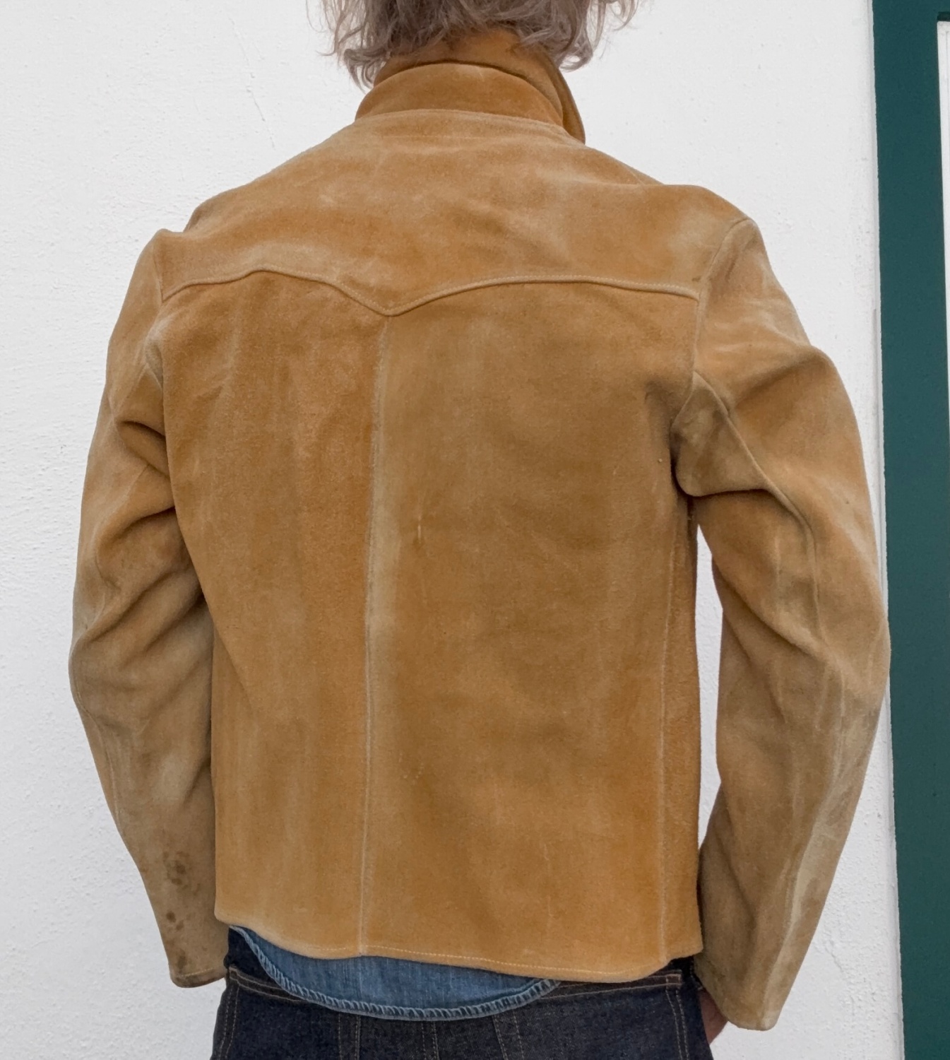 Hodkins back.jpg