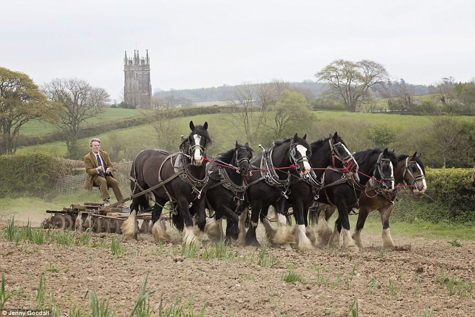 horse drawn plough.jpg