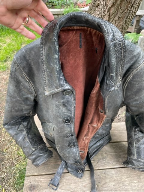 Horsehide found.jpg