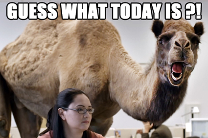 hump-day-camel_425.jpg