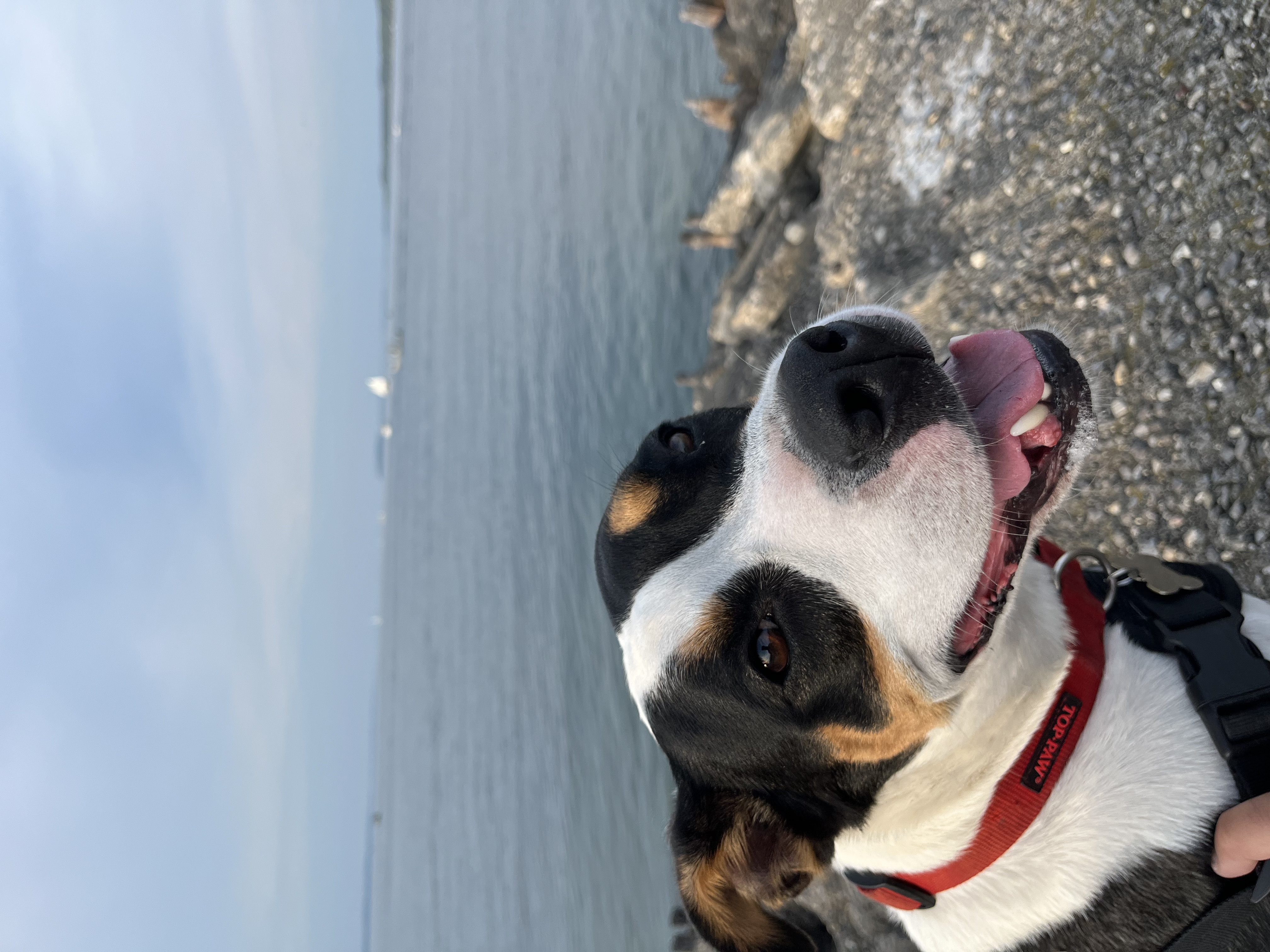 IMG_0173.jpeg