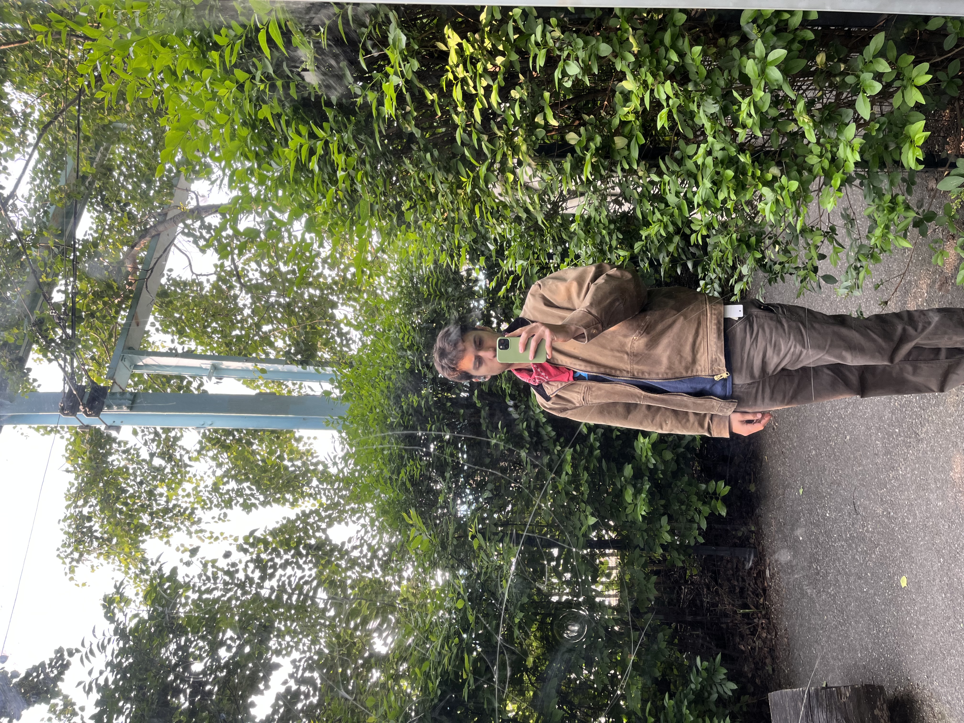 IMG_0253.jpeg