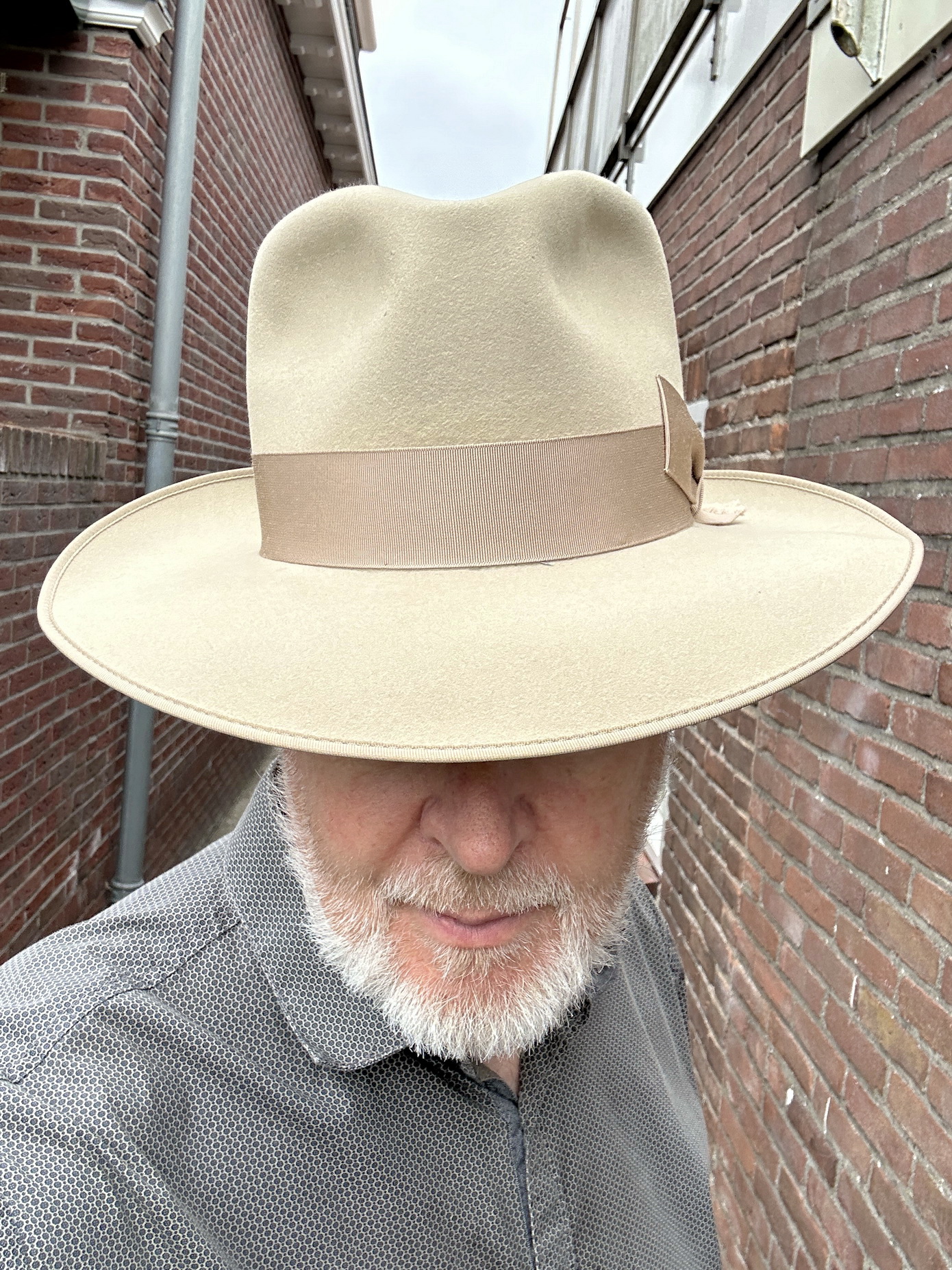 IMG_0659_resize.jpeg