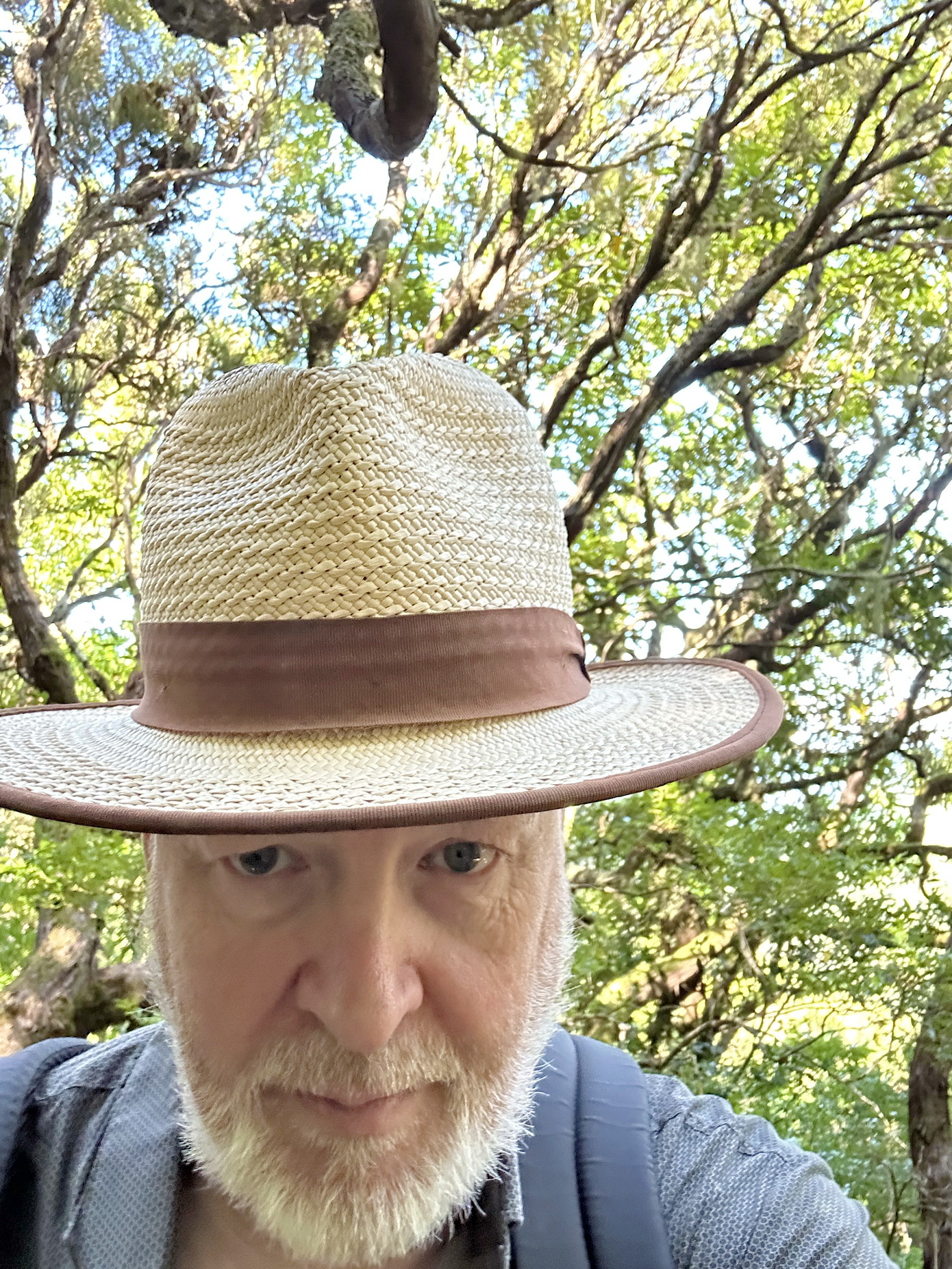 IMG_0784_resize.jpeg