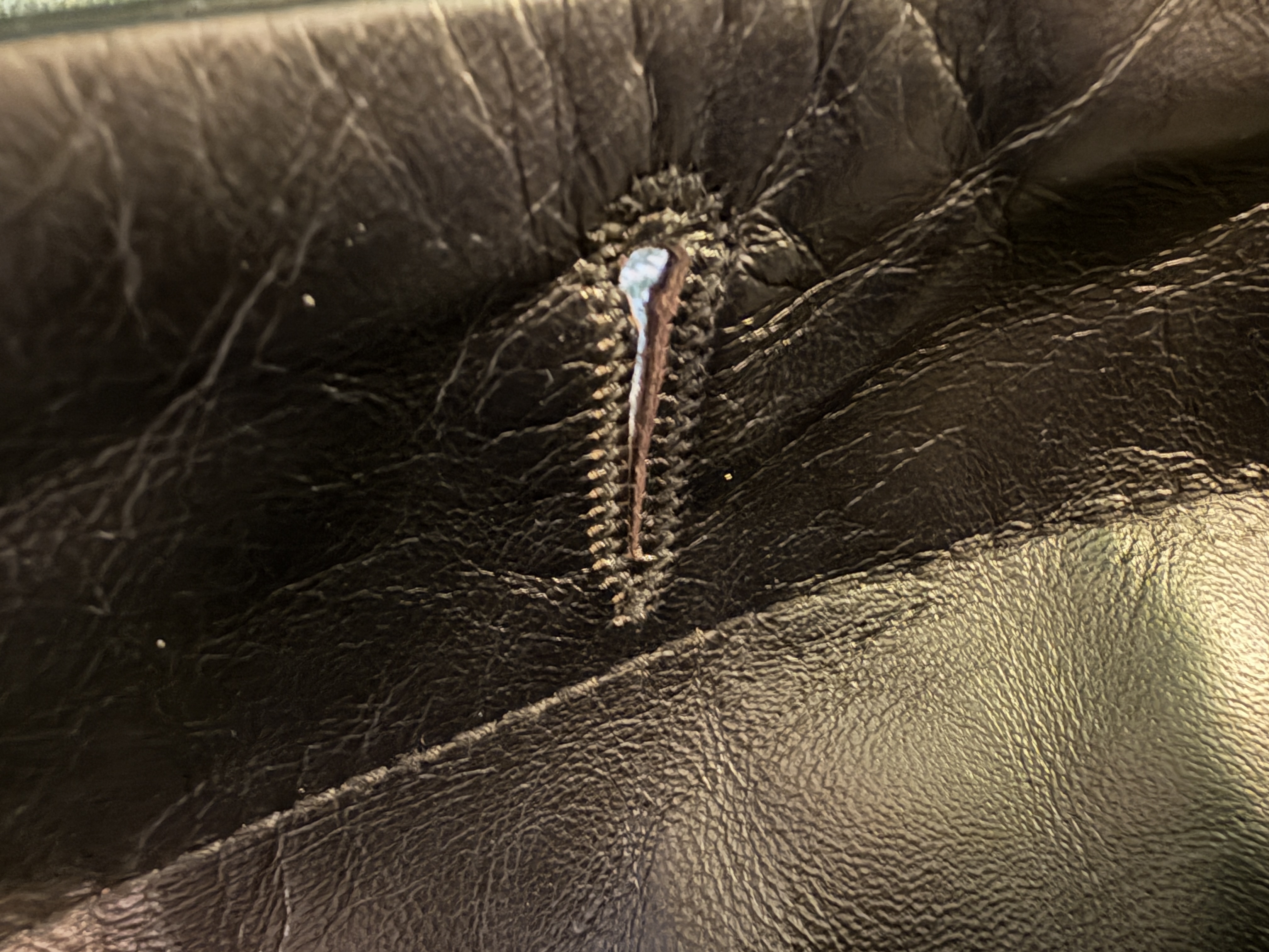 IMG_0896.jpeg