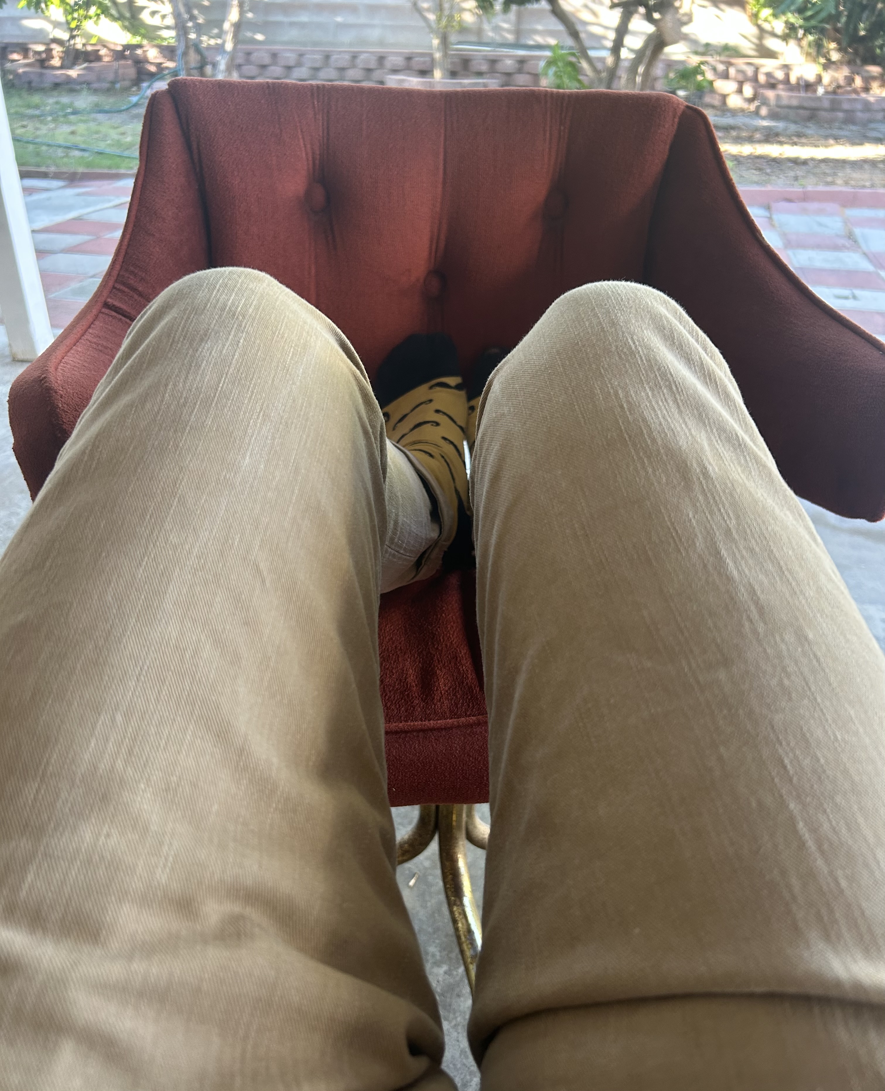IMG_0979.jpeg