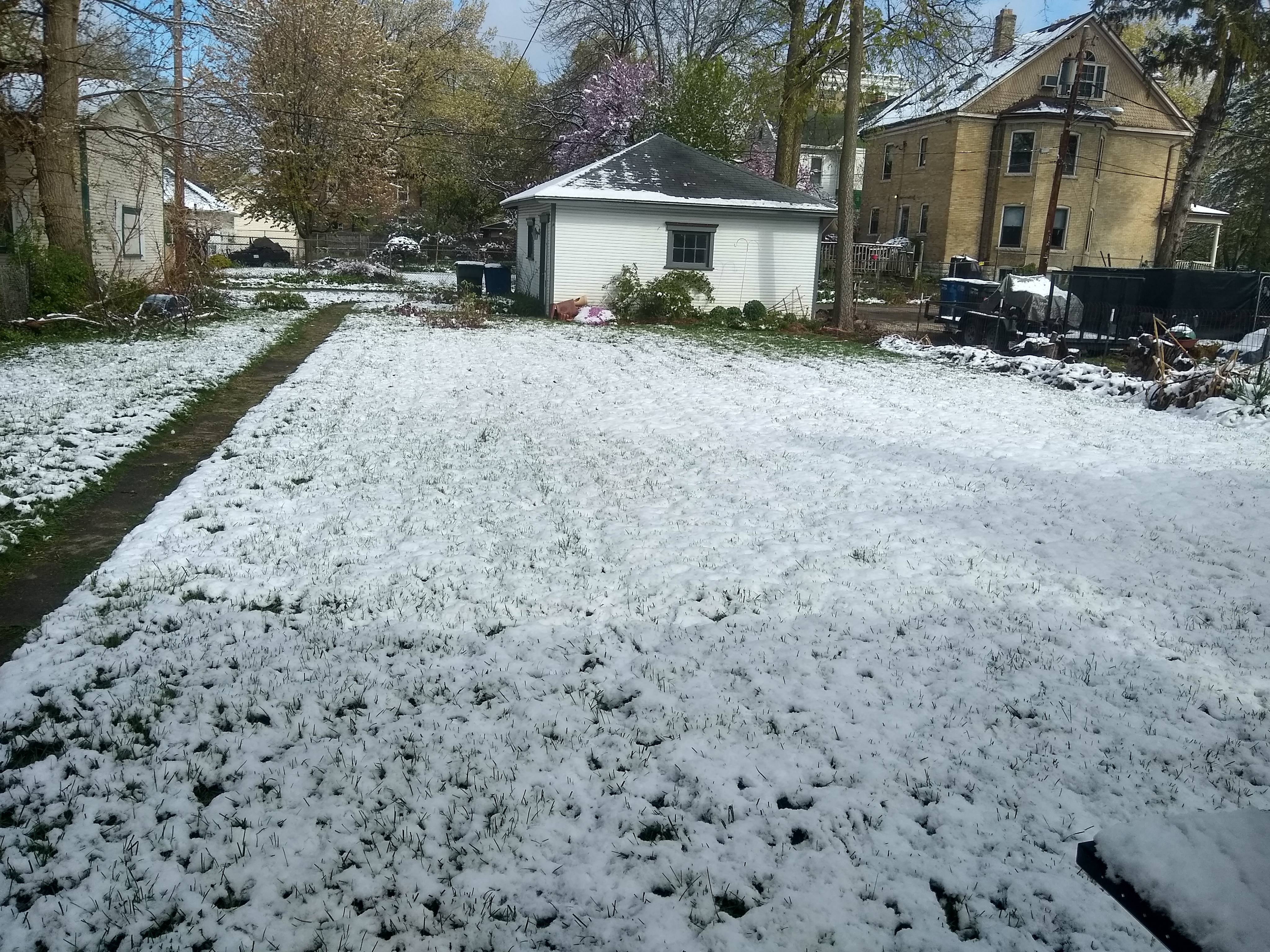 IMG_20210421_102041751_HDR_compress50.jpg