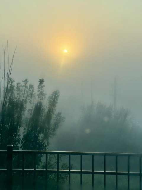 IMG_4528.jpeg
