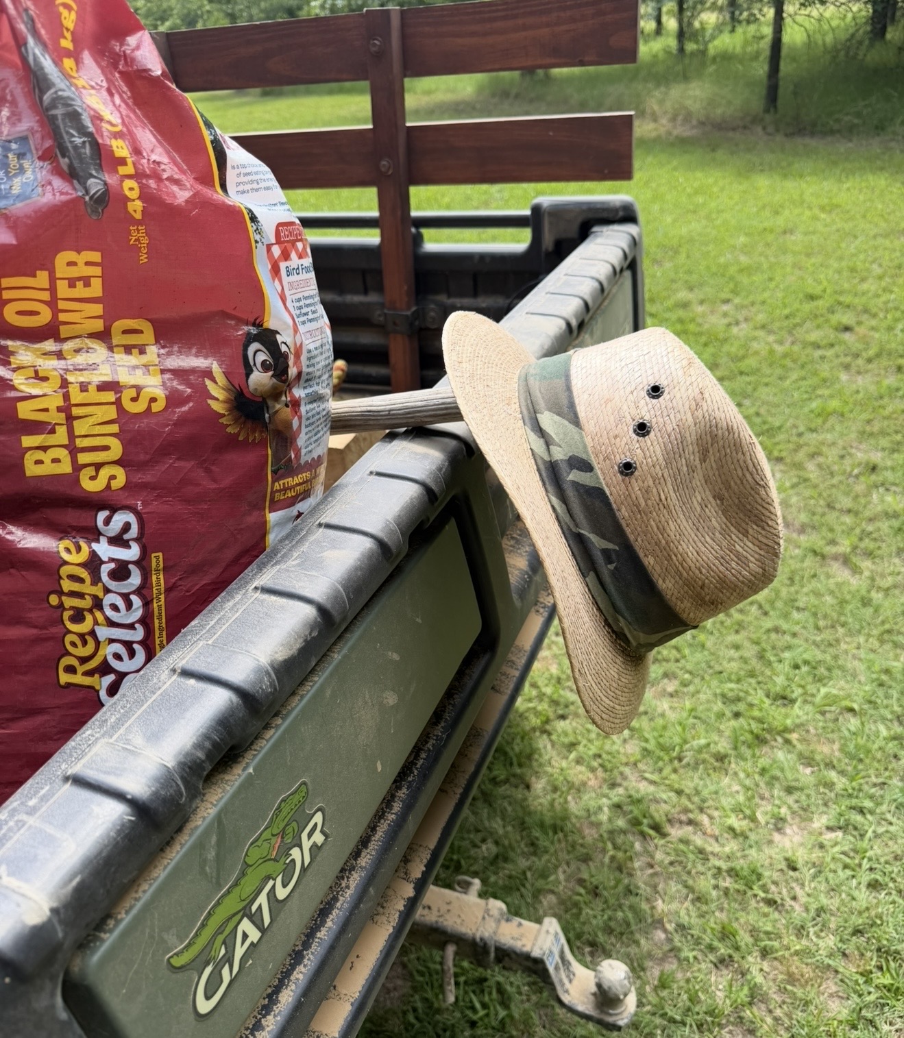 IMG_4877.jpeg