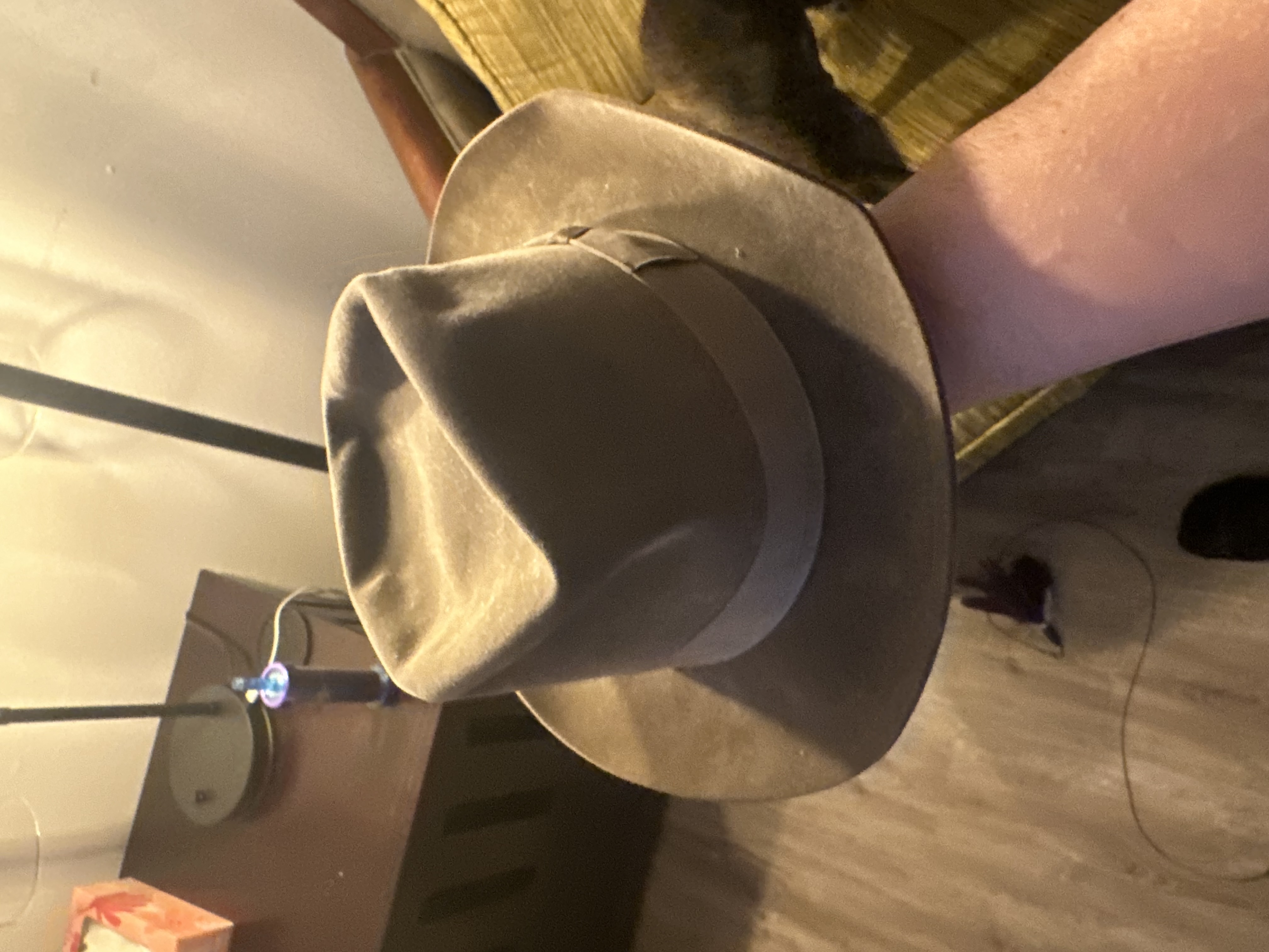 IMG_6927.jpeg