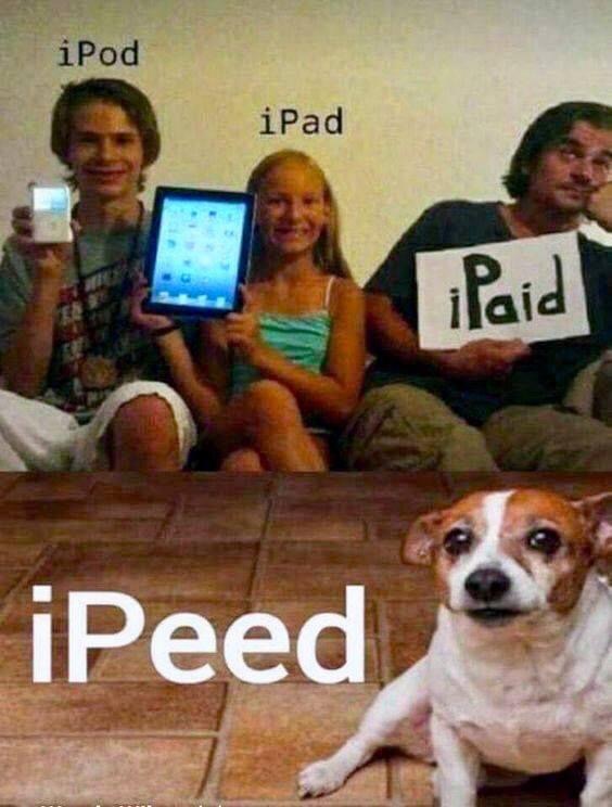 ipod.jpeg