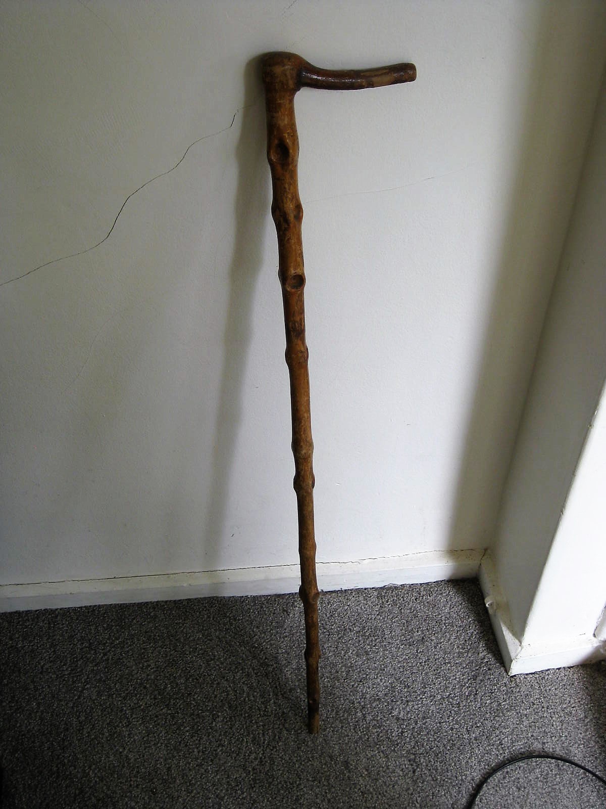 Knobbly stick.JPG