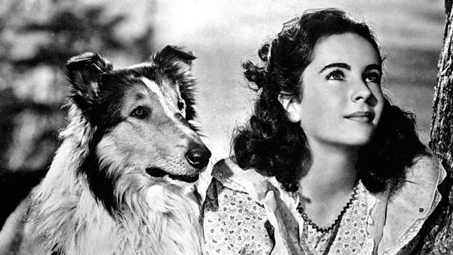 Lassie & Lizzie.jpg