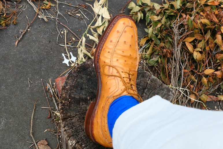 Lattanzi bentivegna Ostrich tan.jpg