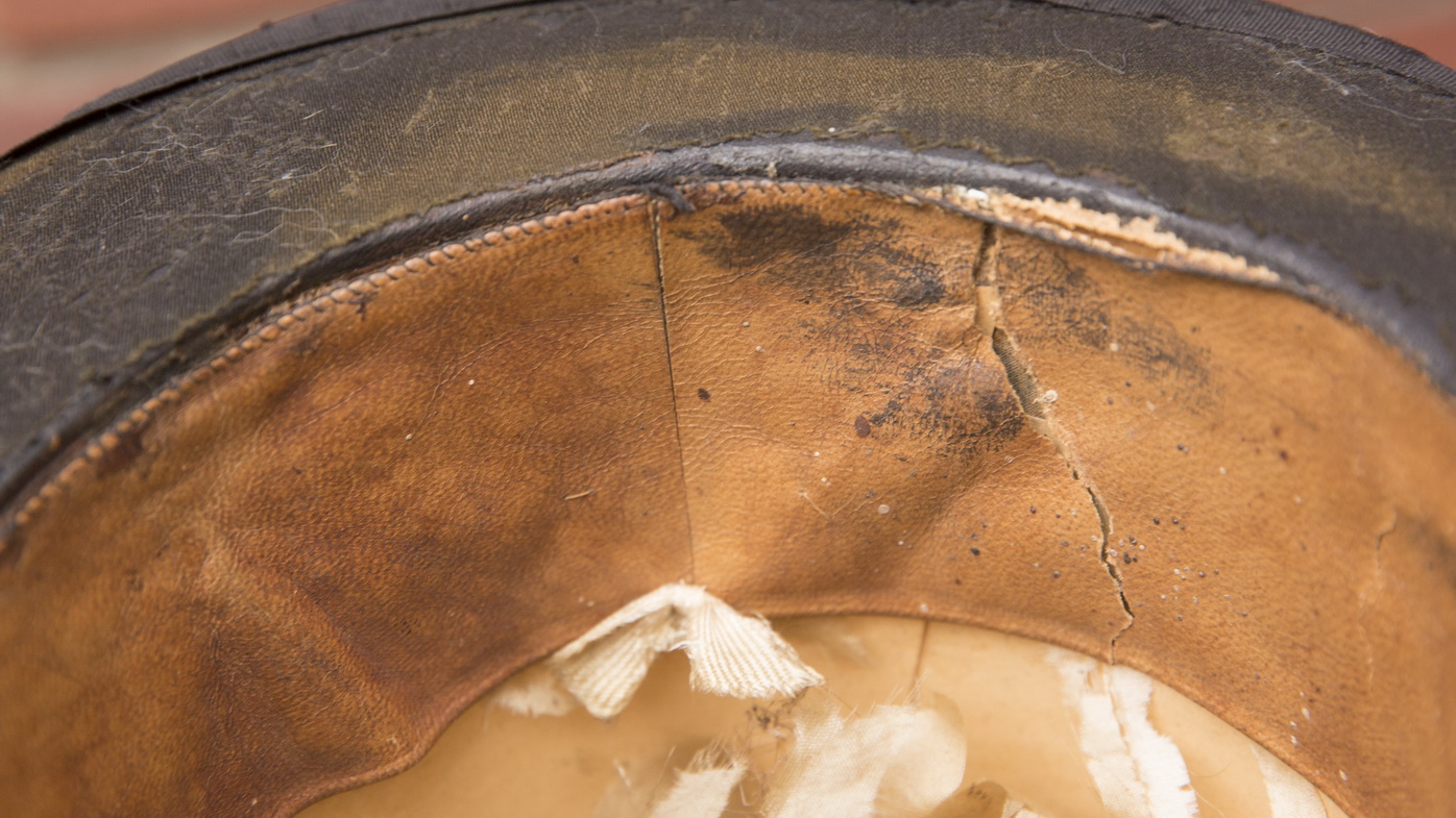 leontop_6.jpg