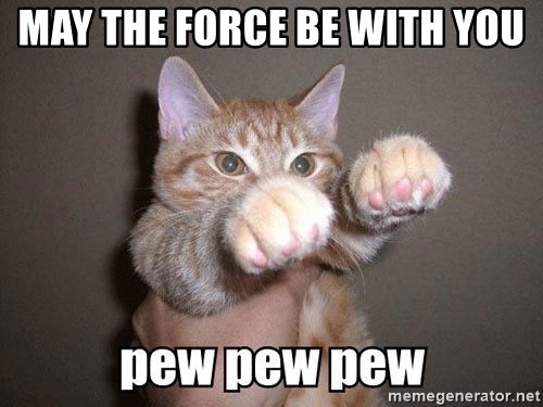 may-the-force-be-with-you-cat meme.jpg