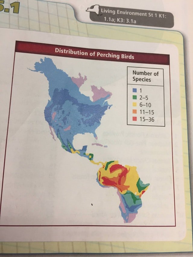 mismatched continents.jpg