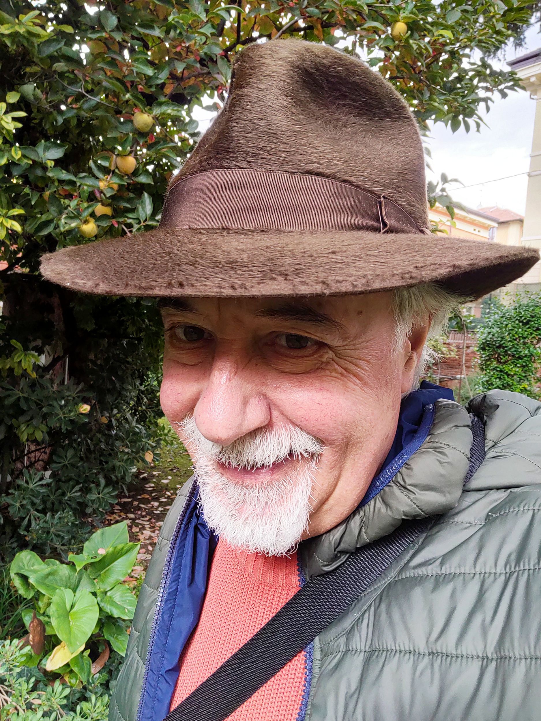 Mogano Borsalino Pelo D.jpg