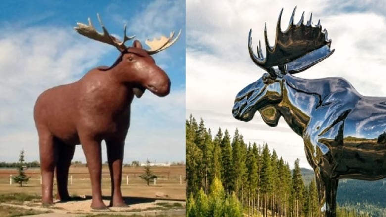 moose.jpg