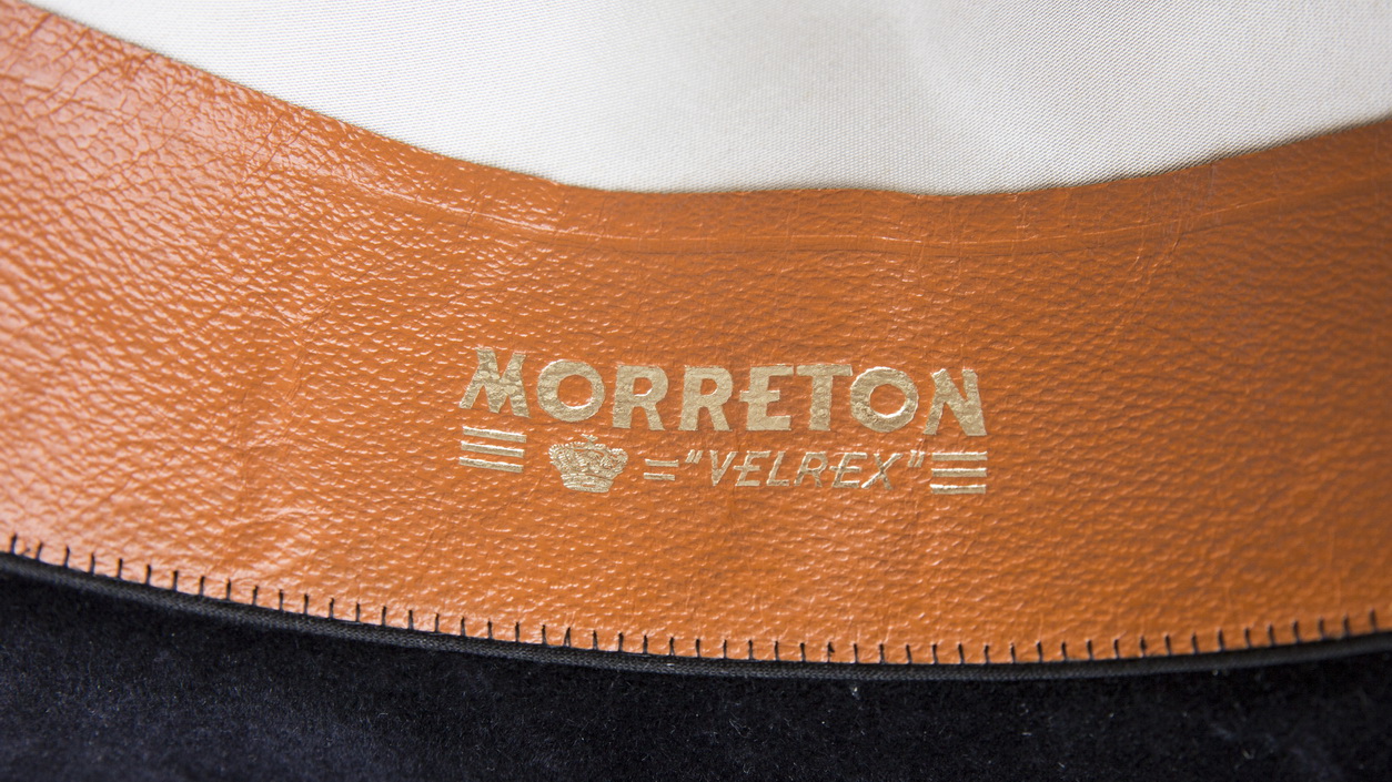 morreton velrex_10.jpg