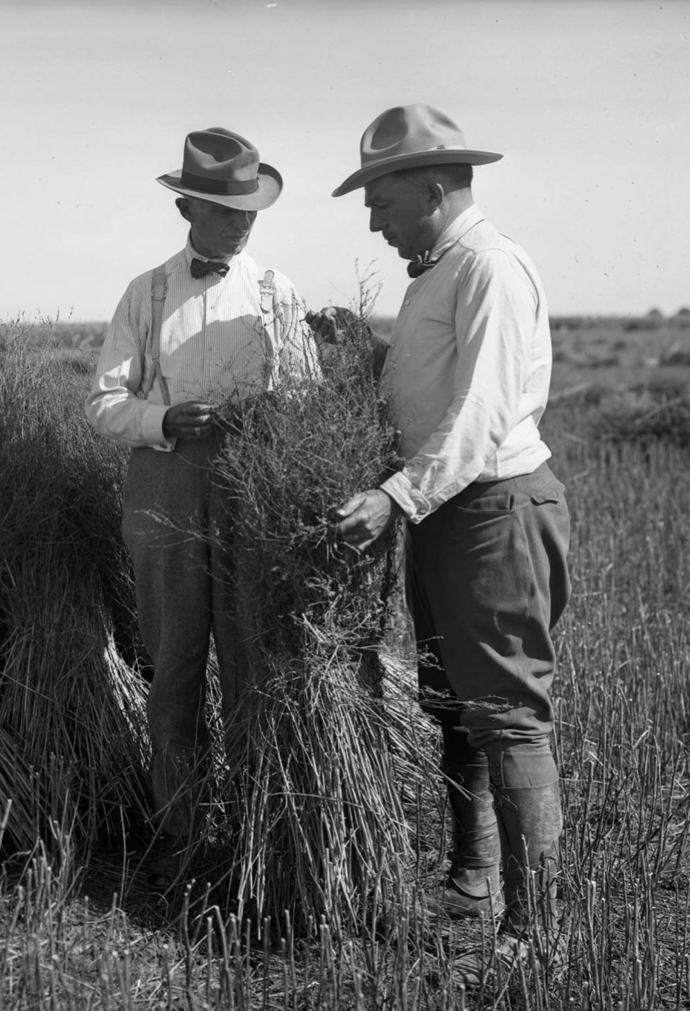 mulehead_ranch_south_dakota_1916.JPG