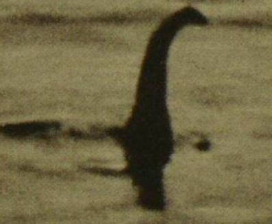 nessie2.jpg